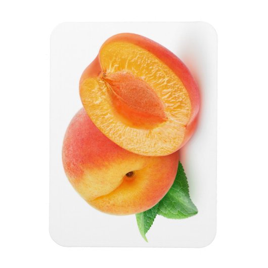 Afabrikozen Magneet (Verticaal)