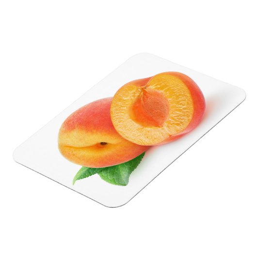 Afabrikozen Magneet (Linkerzijde)