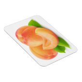 Afabrikozen Magneet (Rechterzijde)