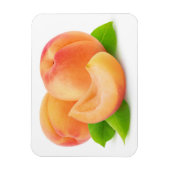 Afabrikozen Magneet (Verticaal)