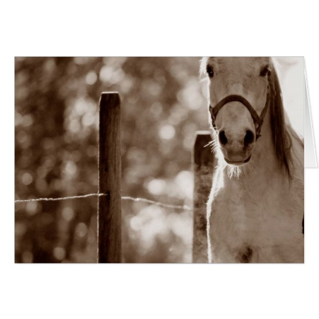 Afbeelding1 (Voorkant Horizontaal)