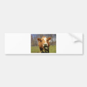 Afbeelding 001 bumpersticker (Voorkant)