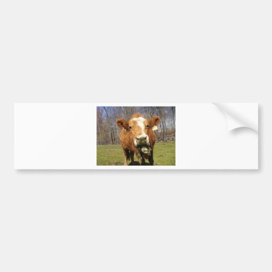 Afbeelding 001 bumpersticker (Voorkant)