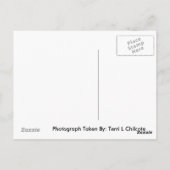 Afbeelding 020 briefkaart (Achterkant)