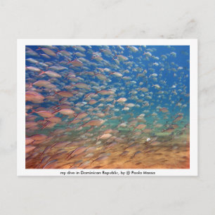 Afbeelding 021, mijn duik in de Dominicaanse Repub Briefkaart