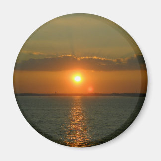 Afbeelding 1339 magneet