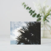 Afbeelding 150, Fotoartiest: Silver Collins Briefkaart (Staand voorkant)