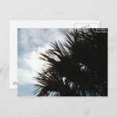 Afbeelding 150, Fotoartiest: Silver Collins Briefkaart (Voorkant / Achterkant)