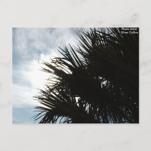 Afbeelding 150, Fotoartiest: Silver Collins Briefkaart (Voorkant)