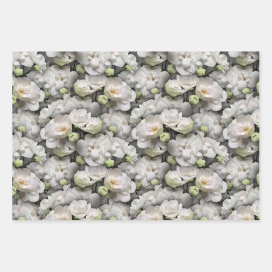 Afbeelding 3 van het Afrikaanse Violet Wrapping Pa Inpakpapier Vel (Voorkant 2)