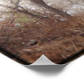 Afbeelding/afdruk met beschermingskanine "Scooby" Poster (Hoek)