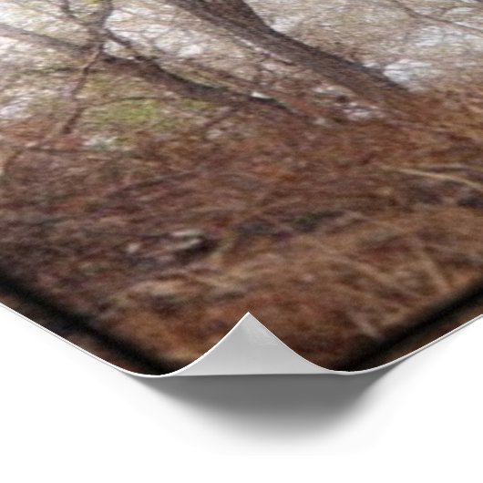 Afbeelding/afdruk met beschermingskanine "Scooby" Poster (Hoek)