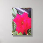 Afbeelding Canvass Art Canvas Afdruk (Voorkant)