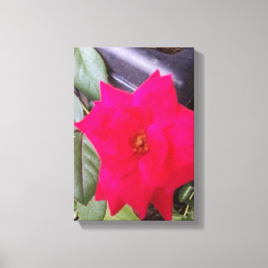 Afbeelding Canvass Art Canvas Afdruk (Voorkant)