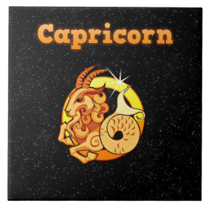 Afbeelding capricorn tegeltje