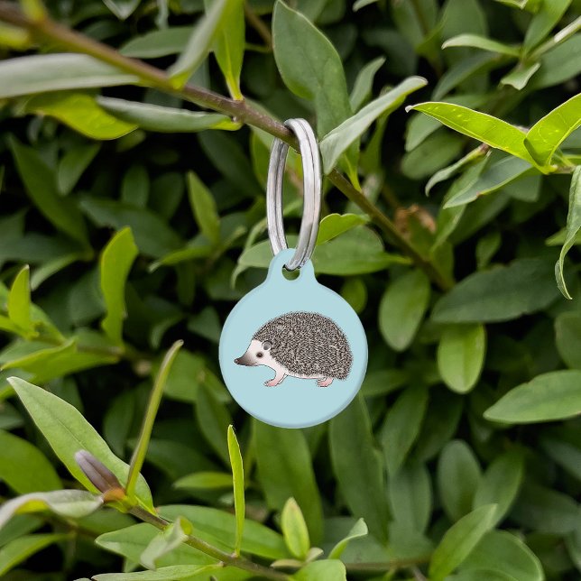 Afbeelding Cartoon van Afrikaanse Pygmy Hedegel Cu Huisdierpenning (Creator heeft geüpload)