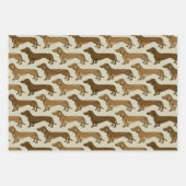 Afbeelding Dachshund naadloos Inpakpapier Vel (Voorkant 3)