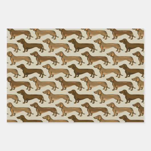 Afbeelding Dachshund naadloos Inpakpapier Vel (Voorkant 3)