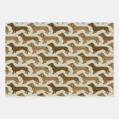 Afbeelding Dachshund naadloos Inpakpapier Vel (Voorkant)