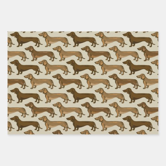 Afbeelding Dachshund naadloos Inpakpapier Vel (Voorkant)