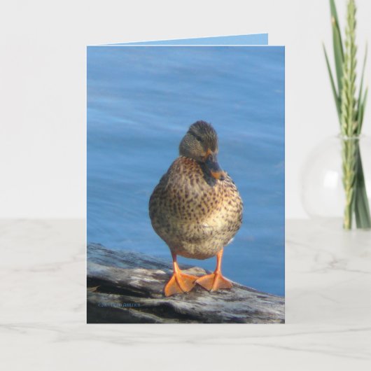 Afbeelding Dag Kaart (Voorkant)