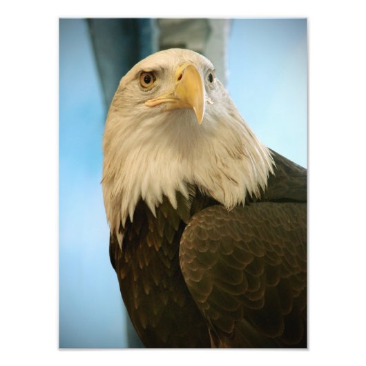 Afbeelding Foto Afdruk (Voorkant)