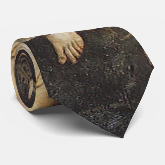 Afbeelding gevlekt op een steen door Abbott Thayer Stropdas (Opgerold)