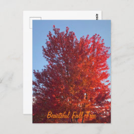 Afbeelding herfst | briefkaart