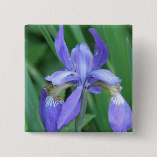 Afbeelding Iris Square Pin Vierkante Button 5,1 Cm (Voorkant)