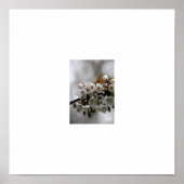 afbeelding lijst poster (Voorkant)