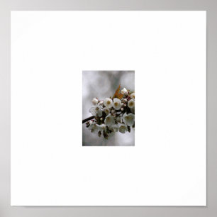 afbeelding lijst poster