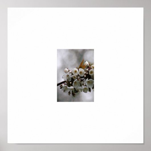 afbeelding lijst poster (Voorkant)