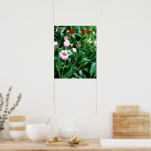 Afbeelding met rode en roze tulpen poster (Keuken)