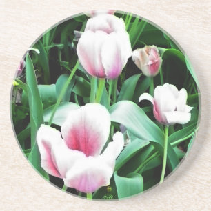 Afbeelding met roze tulpen zandsteen onderzetter