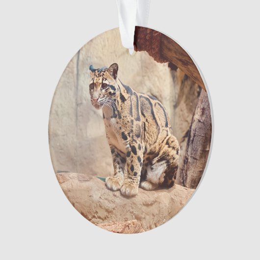 afbeelding natuur van de troebele luipaard ornament (voorkant)