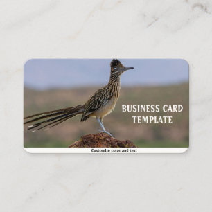Afbeelding Natuur Woestijnvogel Roadrunner Visitekaartje