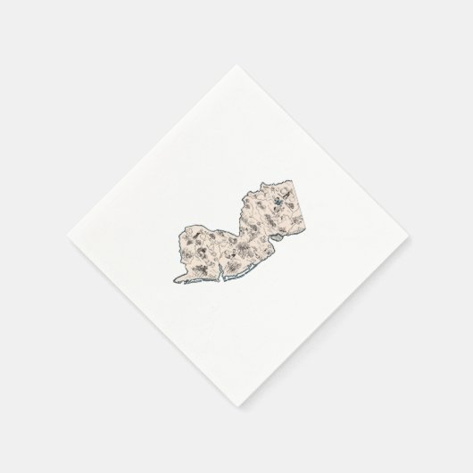  Afbeelding New Jersey - Antiek overzicht Servetten