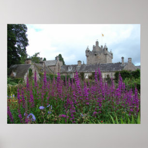 Afbeelding Paars Poster