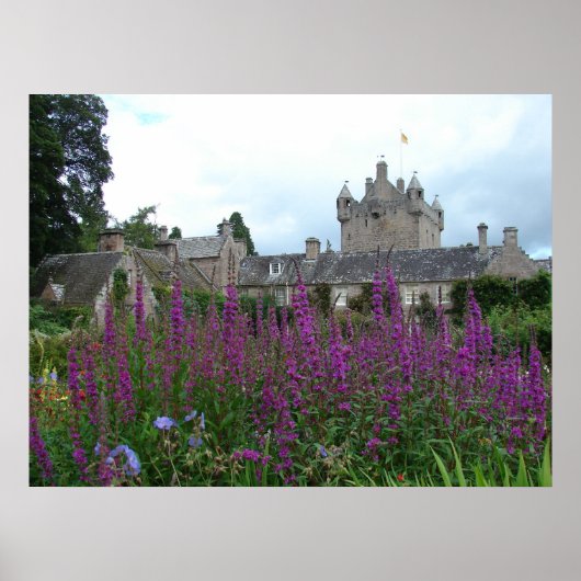 Afbeelding Paars Poster (Voorkant)