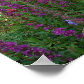 Afbeelding Paars Poster (Hoek)