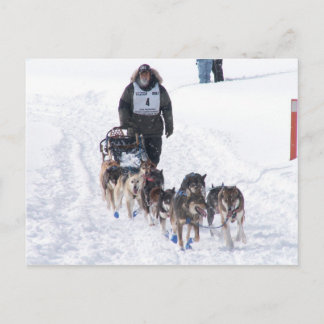 Afbeelding - Perfect 2009 - 200 Briefkaart