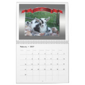 Afbeelding - Perfecte foto-kalender prachtige geit Kalender (Feb 2027)