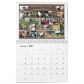 Afbeelding - Perfecte foto-kalender prachtige geit Kalender (Jan 2027)
