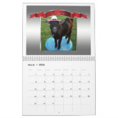 Afbeelding - Perfecte foto-kalender prachtige geit Kalender (Mar 2026)