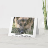 Afbeelding Perfecte Schattigee Puppy Dog Kaart (Achterkant)