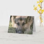 Afbeelding Perfecte Schattigee Puppy Dog Kaart (Gele Bloem)