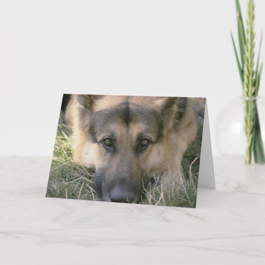 Afbeelding Perfecte Schattigee Puppy Dog Kaart (Voorkant)