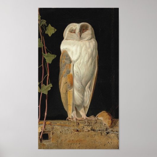  Afbeelding Poster (Voorkant)