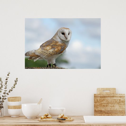 afbeelding poster (Keuken)