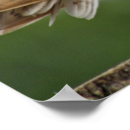 afbeelding poster (Hoek)